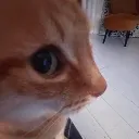 oh