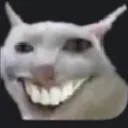 weirdcat