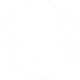 White_Spider