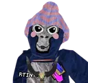 rtiny1 rtiny1