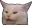 cat_confused