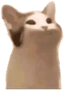 Pop_cat custom emote - ShimadaX