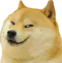 doge