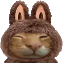 labuhbuh