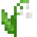 wilted_lily
