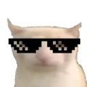 COOLCAT Discord emoji