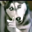 watchyourmouth