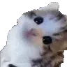 Wadafac