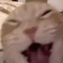qucccc