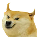 dogedevil