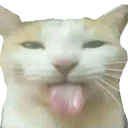 :catliem1: