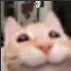 :3_: :3_: