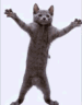 boogietime