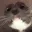 catwhatup