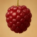 dingleberry