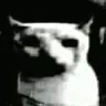 catDespair catDespair