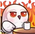 05_owl_thisisfine