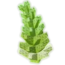 Romanesco