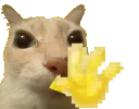 Hello_tonoto Hello_tonoto