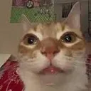 ermmm