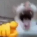 hehehahahoohoo