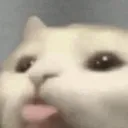 Blep