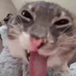 pspFreaky