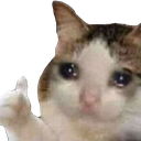 NekoCryUp Discord sticker from Speed Wallet