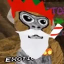 exotic exotic