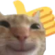 cat_thumbsup