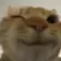 cat_wink