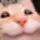 cathappy
