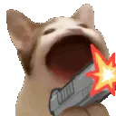 cat_popgun
