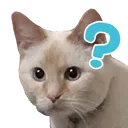clioQuestion