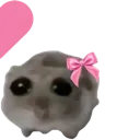 hamstiherz2 hamstiherz2