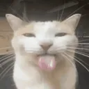 BLEWH