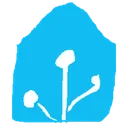 hone_asinstint