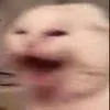 Nyoooooh Nyoooooh