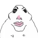 hmog