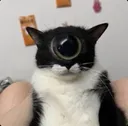 kit_eyeofrah