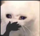 oopp