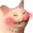 catlove