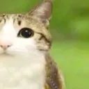 m2