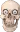 skulled