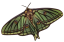 :Screenshot_20250821_at_2: