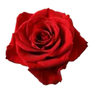 emoji_12