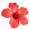 emoji_13