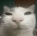 GRR
