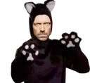 catman