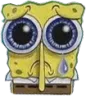 spongesad